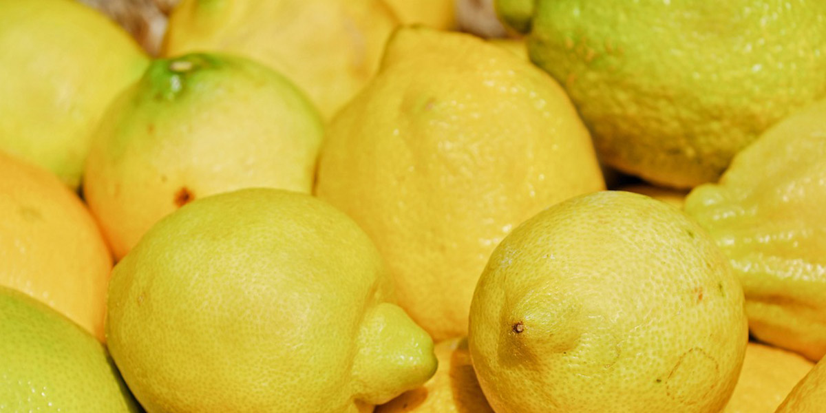 Spagna, i limoni rimangono sulle piante